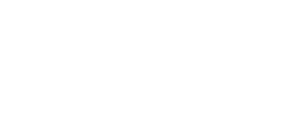 Animation School